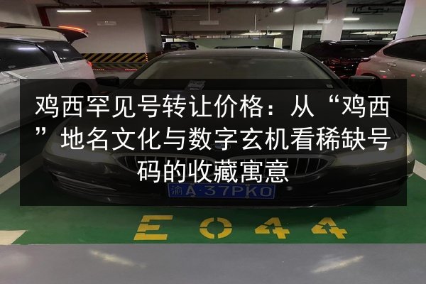 鸡西罕见号转让价格：从“鸡西”地名文化与数字玄机看稀缺号码的收藏寓意 第3张