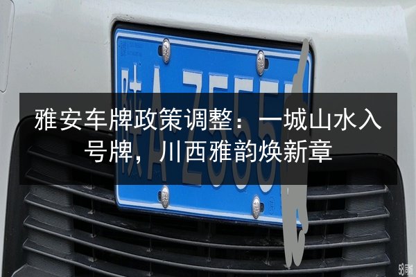 雅安车牌政策调整：一城山水入号牌，川西雅韵焕新章 第2张