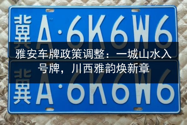 雅安车牌政策调整：一城山水入号牌，川西雅韵焕新章 第3张