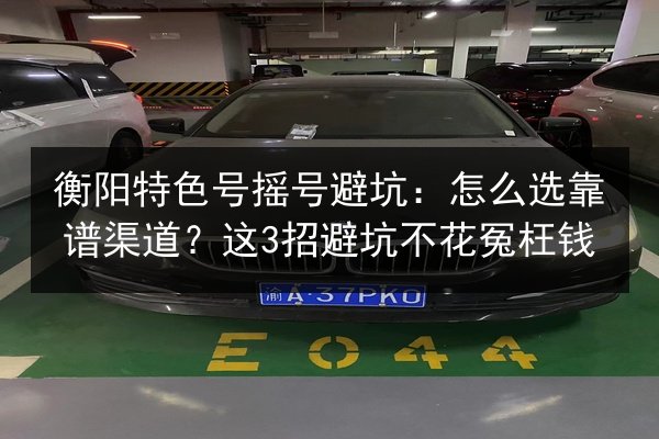 衡阳特色号摇号避坑:怎么选靠谱渠道?这3招避坑不花冤枉钱 第3张 衡阳特色号摇号避坑:怎么选靠谱渠道?这3招避坑不花冤枉钱 第3张