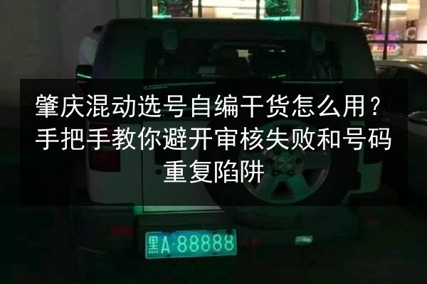 肇庆混动选号自编干货怎么用？手把手教你避开审核失败和号码重复陷阱