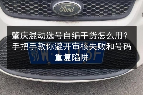 肇庆混动选号自编干货怎么用？手把手教你避开审核失败和号码重复陷阱 第2张