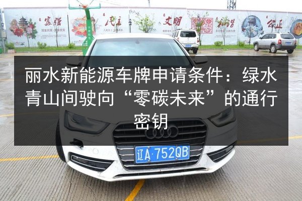 丽水新能源车牌申请条件：绿水青山间驶向“零碳未来”的通行密钥 第2张