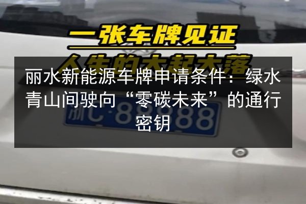 丽水新能源车牌申请条件：绿水青山间驶向“零碳未来”的通行密钥 第3张