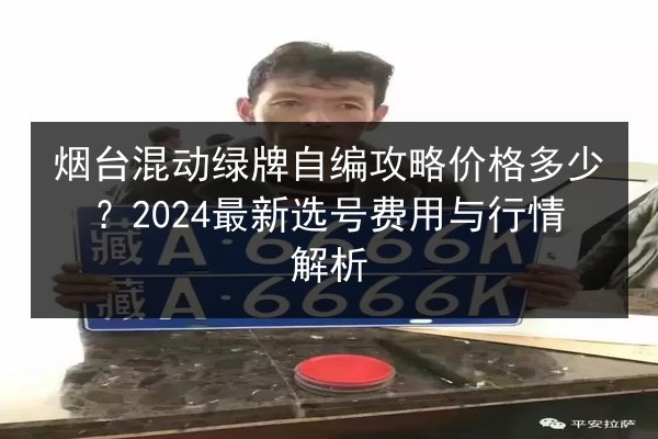 烟台混动绿牌自编攻略价格多少?2024最新选号费用与行情解析 第2张 烟台混动绿牌自编攻略价格多少?2024最新选号费用与行情解析 第2张
