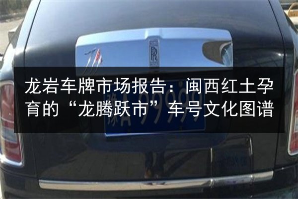 龙岩车牌市场报告:闽西红土孕育的“龙腾跃市”车号文化图谱 第3张 龙岩车牌市场报告:闽西红土孕育的“龙腾跃市”车号文化图谱 第3张