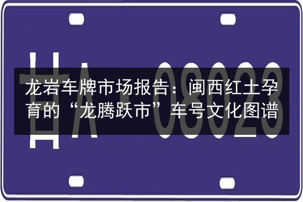 龙岩车牌市场报告:闽西红土孕育的“龙腾跃市”车号文化图谱 第4张 龙岩车牌市场报告:闽西红土孕育的“龙腾跃市”车号文化图谱 第4张