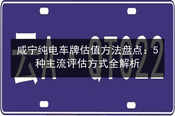 咸宁纯电车牌估值方法盘点:5种主流评估方式全解析 第2张 咸宁纯电车牌估值方法盘点:5种主流评估方式全解析 第2张