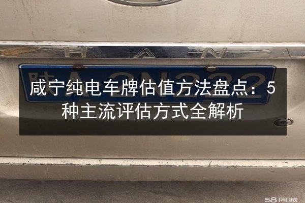 咸宁纯电车牌估值方法盘点:5种主流评估方式全解析 第3张 咸宁纯电车牌估值方法盘点:5种主流评估方式全解析 第3张