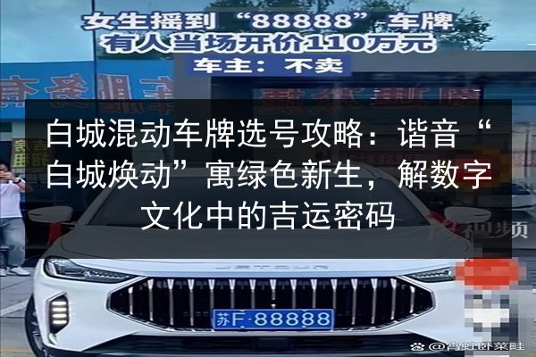 白城混动车牌选号攻略：谐音“白城焕动”寓绿色新生，解数字文化中的吉运密码