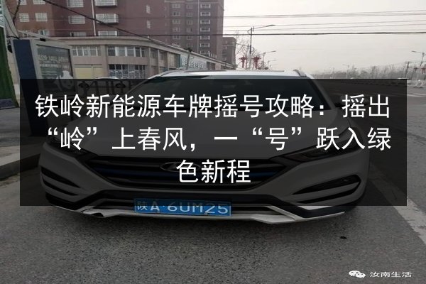 铁岭新能源车牌摇号攻略:摇出“岭”上春风,一“号”跃入绿色新程 第2张 铁岭新能源车牌摇号攻略:摇出“岭”上春风,一“号”跃入绿色新程 第2张