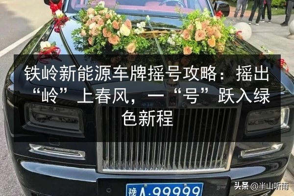 铁岭新能源车牌摇号攻略:摇出“岭”上春风,一“号”跃入绿色新程 第3张 铁岭新能源车牌摇号攻略:摇出“岭”上春风,一“号”跃入绿色新程 第3张