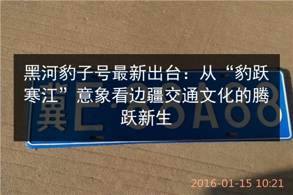 黑河豹子号最新出台:从“豹跃寒江”意象看边疆交通文化的腾跃新生 第2张 黑河豹子号最新出台:从“豹跃寒江”意象看边疆交通文化的腾跃新生 第2张