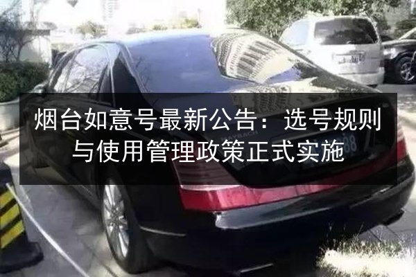 烟台如意号最新公告：选号规则与使用管理政策正式实施