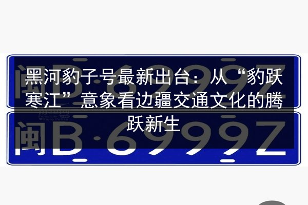 黑河豹子号最新出台:从“豹跃寒江”意象看边疆交通文化的腾跃新生 第3张 黑河豹子号最新出台:从“豹跃寒江”意象看边疆交通文化的腾跃新生 第3张
