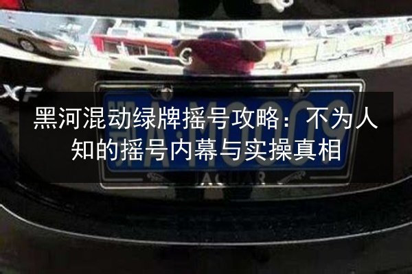 黑河混动绿牌摇号攻略:不为人知的摇号内幕与实操真相 第2张 黑河混动绿牌摇号攻略:不为人知的摇号内幕与实操真相 第2张