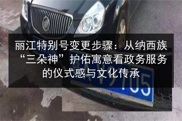 丽江特别号变更步骤：从纳西族“三朵神”护佑寓意看政务服务的仪式感与文化传承