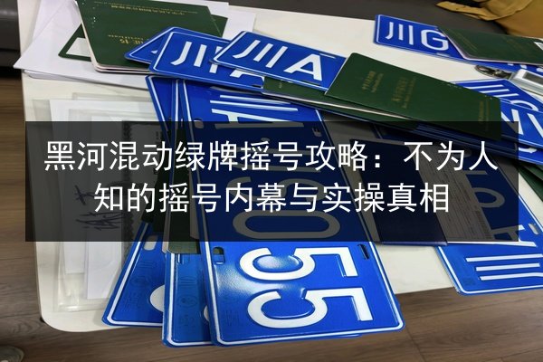 黑河混动绿牌摇号攻略:不为人知的摇号内幕与实操真相 第3张 黑河混动绿牌摇号攻略:不为人知的摇号内幕与实操真相 第3张