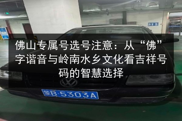 佛山专属号选号注意：从“佛”字谐音与岭南水乡文化看吉祥号码的智慧选择