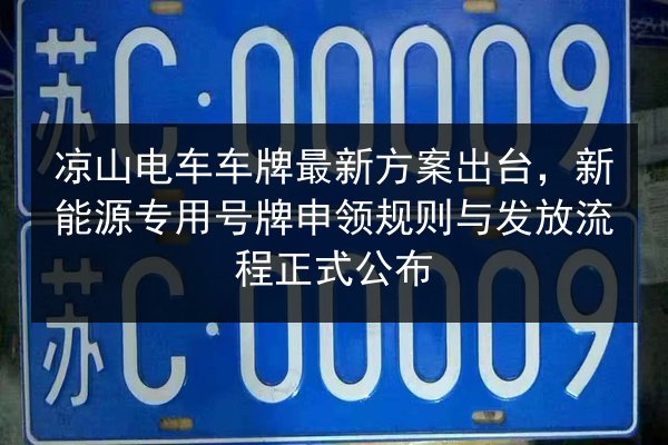 凉山电车车牌最新方案出台，新能源专用号牌申领规则与发放流程正式公布 第3张