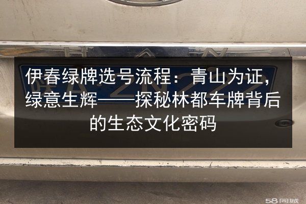 伊春绿牌选号流程：青山为证，绿意生辉——探秘林都车牌背后的生态文化密码