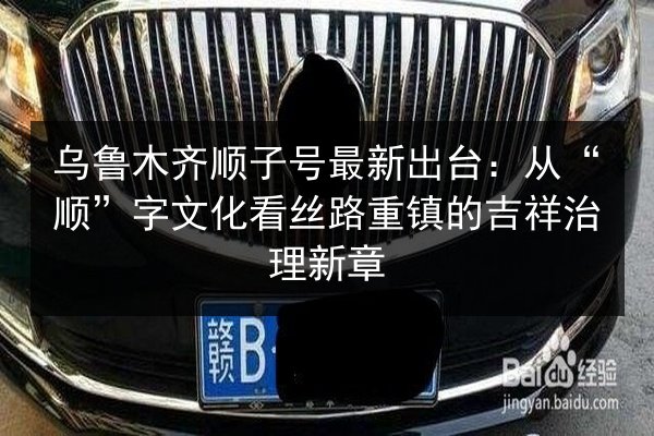 乌鲁木齐顺子号最新出台:从“顺”字文化看丝路重镇的吉祥治理新章 第4张 乌鲁木齐顺子号最新出台:从“顺”字文化看丝路重镇的吉祥治理新章 第4张