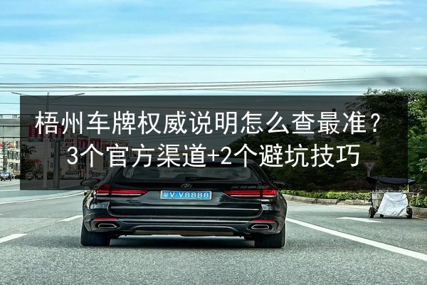梧州车牌权威说明怎么查最准?3个官方渠道+2个避坑技巧 第2张 梧州车牌权威说明怎么查最准?3个官方渠道+2个避坑技巧 第2张
