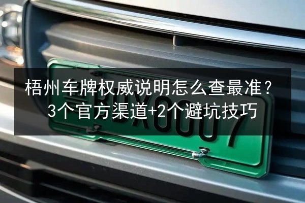 梧州车牌权威说明怎么查最准?3个官方渠道+2个避坑技巧 第3张 梧州车牌权威说明怎么查最准?3个官方渠道+2个避坑技巧 第3张