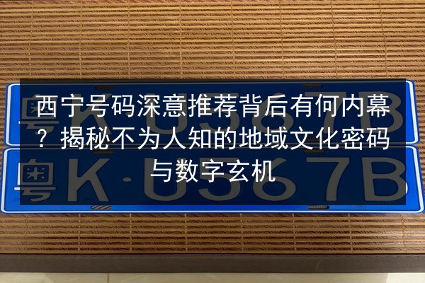 西宁号码深意推荐背后有何内幕？揭秘不为人知的地域文化密码与数字玄机