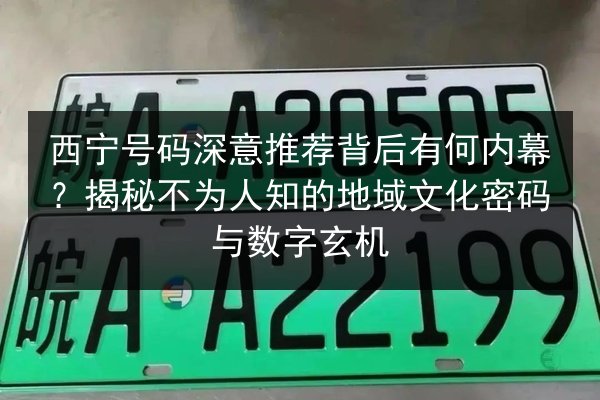 西宁号码深意推荐背后有何内幕？揭秘不为人知的地域文化密码与数字玄机 第2张
