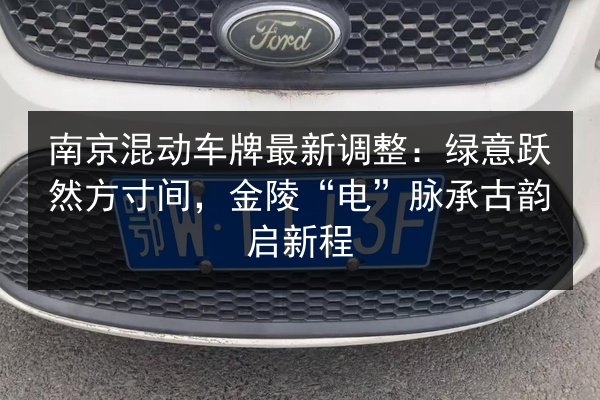 南京混动车牌最新调整：绿意跃然方寸间，金陵“电”脉承古韵启新程 第2张