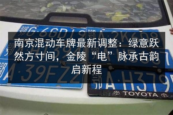 南京混动车牌最新调整：绿意跃然方寸间，金陵“电”脉承古韵启新程 第3张