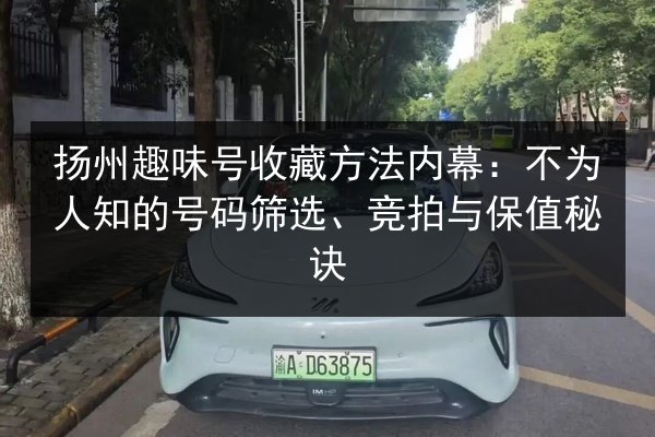 扬州趣味号收藏方法内幕：不为人知的号码筛选、竞拍与保值秘诀