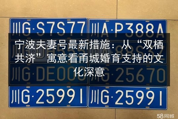 宁波夫妻号最新措施：从“双栖共济”寓意看甬城婚育支持的文化深意