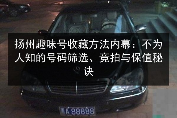 扬州趣味号收藏方法内幕:不为人知的号码筛选、竞拍与保值秘诀 第3张 扬州趣味号收藏方法内幕:不为人知的号码筛选、竞拍与保值秘诀 第3张