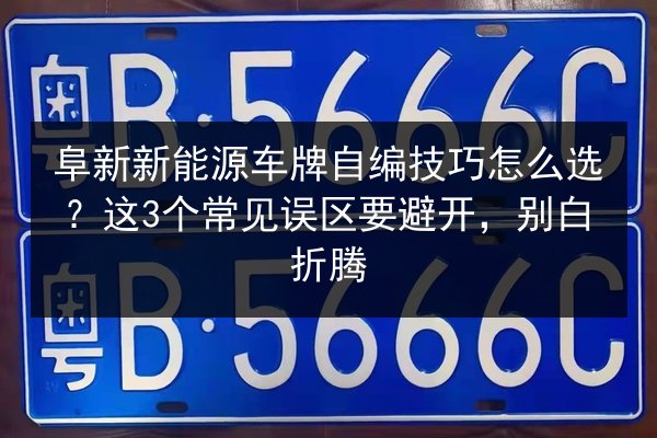 阜新新能源车牌自编技巧怎么选？这3个常见误区要避开，别白折腾