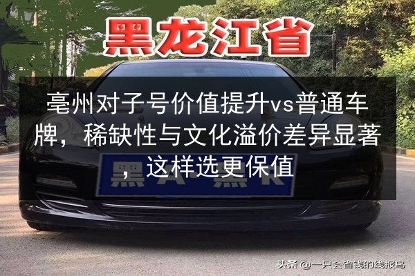 亳州对子号价值提升vs普通车牌，稀缺性与文化溢价差异显著，这样选更保值