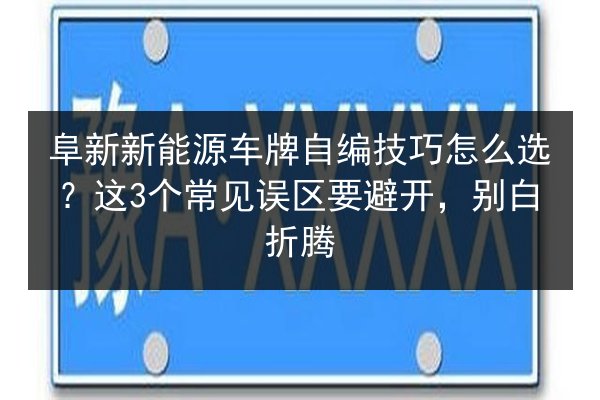 阜新新能源车牌自编技巧怎么选？这3个常见误区要避开，别白折腾 第3张
