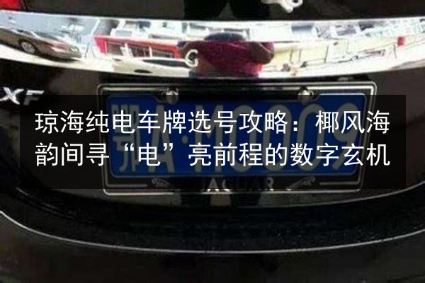 琼海纯电车牌选号攻略：椰风海韵间寻“电”亮前程的数字玄机 第2张