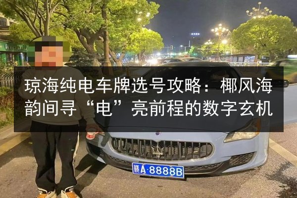 琼海纯电车牌选号攻略：椰风海韵间寻“电”亮前程的数字玄机 第3张