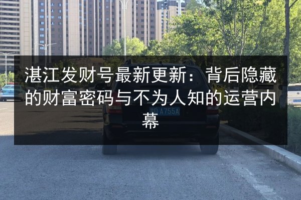 湛江发财号最新更新：背后隐藏的财富密码与不为人知的运营内幕 第2张
