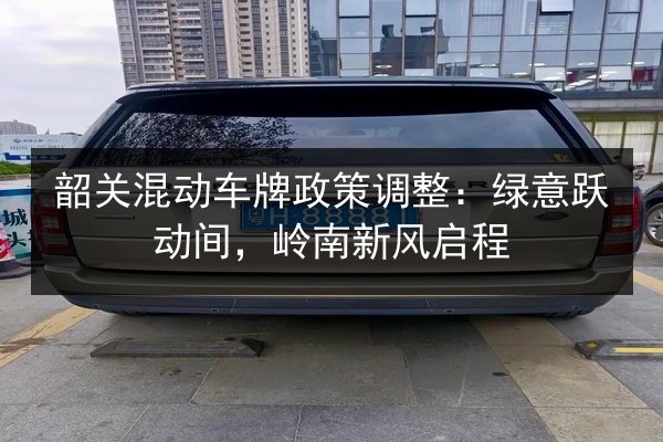 韶关混动车牌政策调整：绿意跃动间，岭南新风启程