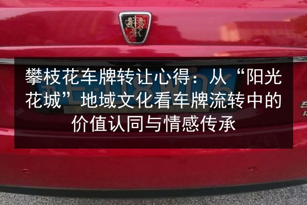 攀枝花车牌转让心得：从“阳光花城”地域文化看车牌流转中的价值认同与情感传承 第3张