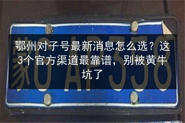 鄂州对子号最新消息怎么选？这3个官方渠道最靠谱，别被黄牛坑了 第2张