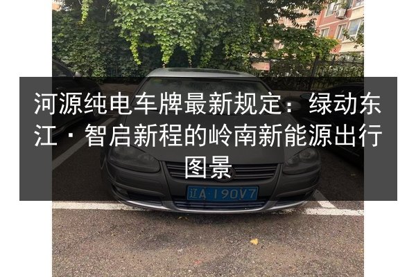 河源纯电车牌最新规定：绿动东江·智启新程的岭南新能源出行图景