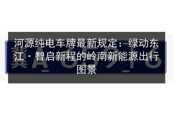 河源纯电车牌最新规定：绿动东江·智启新程的岭南新能源出行图景 第2张