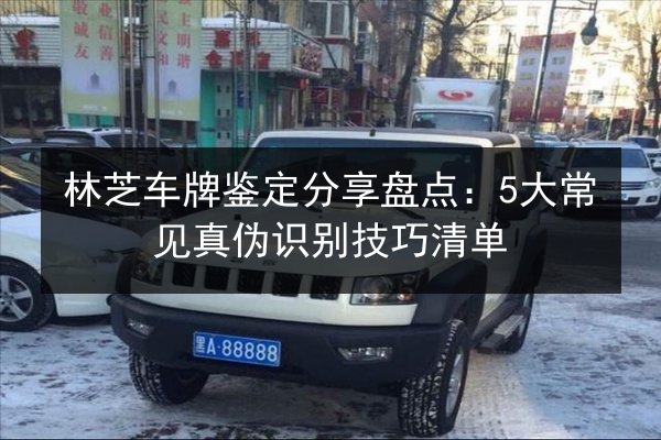 林芝车牌鉴定分享盘点:5大常见真伪识别技巧清单 第3张 林芝车牌鉴定分享盘点:5大常见真伪识别技巧清单 第3张