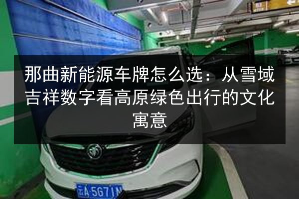 那曲新能源车牌怎么选:从雪域吉祥数字看高原绿色出行的文化寓意 第3张 那曲新能源车牌怎么选:从雪域吉祥数字看高原绿色出行的文化寓意 第3张