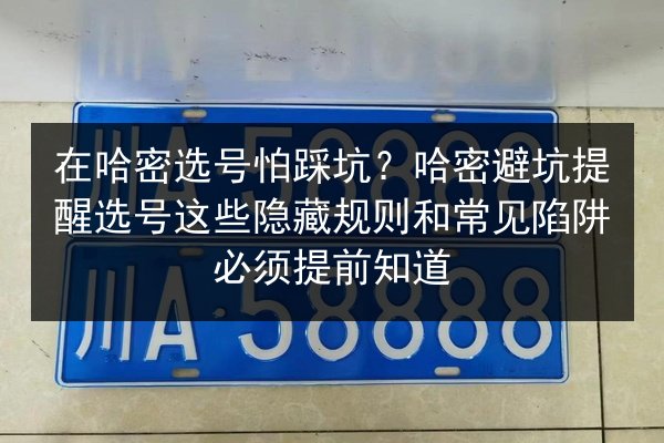 在哈密选号怕踩坑?哈密避坑提醒选号这些隐藏规则和常见陷阱必须提前知道 第3张 在哈密选号怕踩坑?哈密避坑提醒选号这些隐藏规则和常见陷阱必须提前知道 第3张