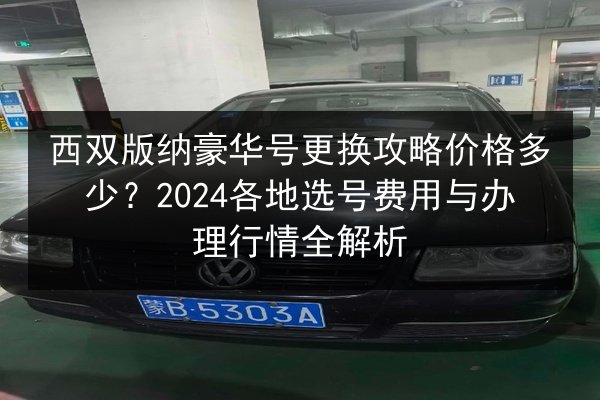 西双版纳豪华号更换攻略价格多少？2024各地选号费用与办理行情全解析